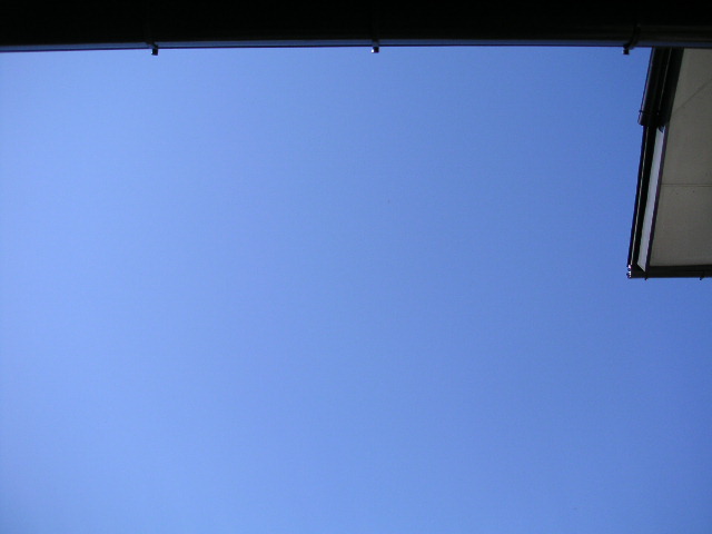 a0020929_10411212.jpg
