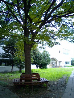 b0009029_22115831.jpg