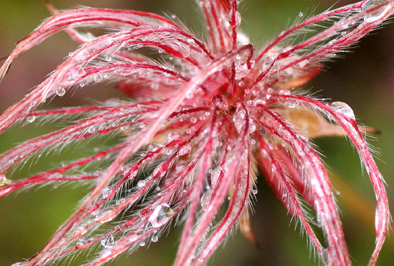 d0069235_23413864.jpg