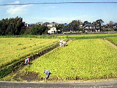 e0016836_9261318.jpg