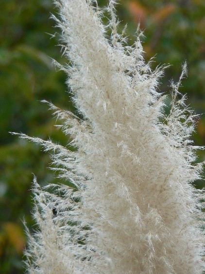 e0083238_22391376.jpg