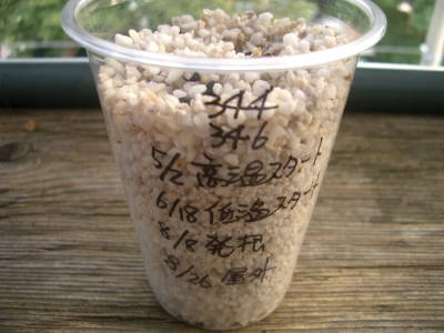c0025140_17225510.jpg