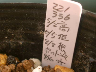 c0025140_17451985.jpg