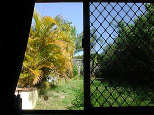 b0101042_8574985.jpg