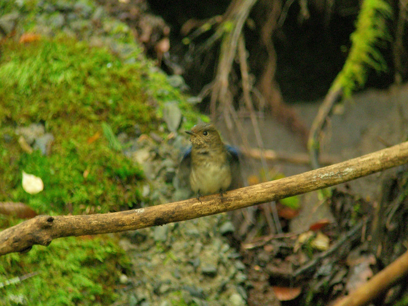 b0109942_21464849.jpg