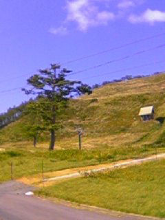 c0059543_1041745.jpg