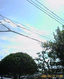 f0087347_1872410.jpg