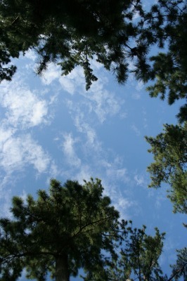 f0042548_22291269.jpg