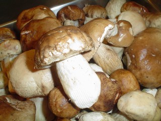 c0089154_22405278.jpg