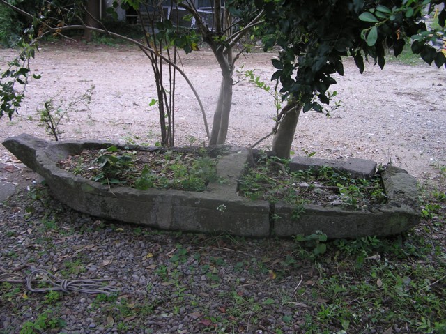 a0052156_23163986.jpg