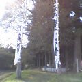 a0029157_13564670.jpg