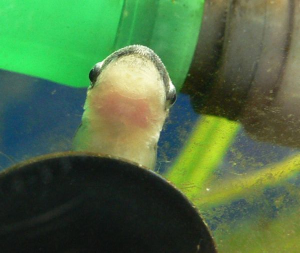 e0072757_062212.jpg