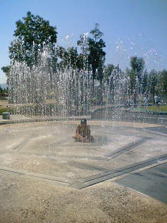 f0074659_207528.jpg