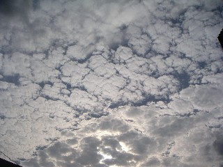 a0072371_22253641.jpg