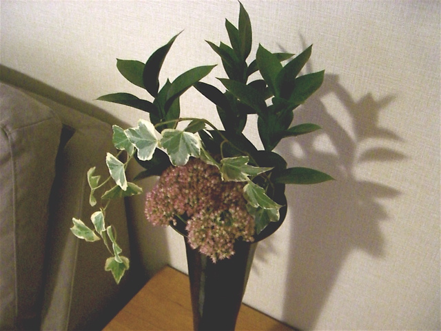 e0018777_14253450.jpg