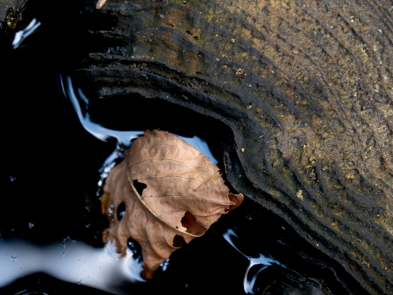 c0036985_20185498.jpg