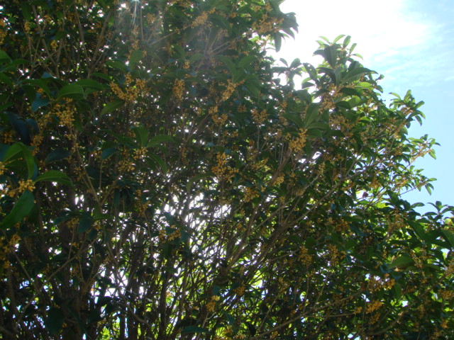 a0076187_2364843.jpg