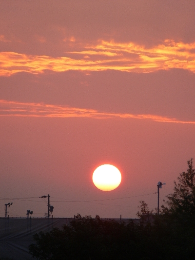 f0103688_8232079.jpg