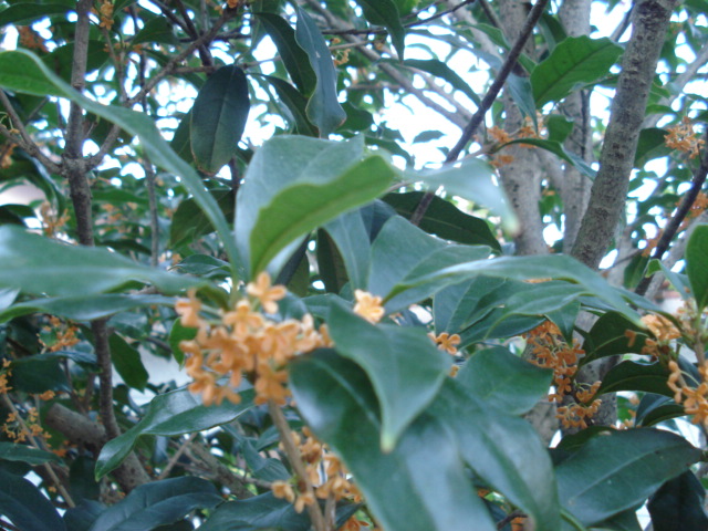 b0080090_1758488.jpg