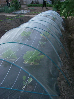 f0070493_2226195.jpg