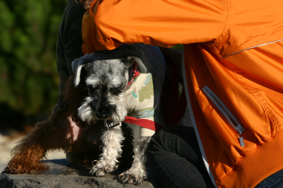 f0001895_11211254.jpg