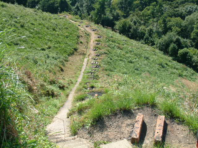 b0044296_212535.jpg