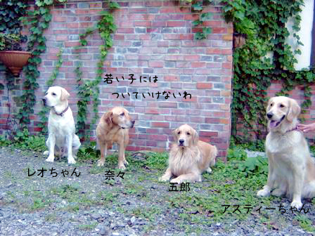 f0064906_1625159.jpg