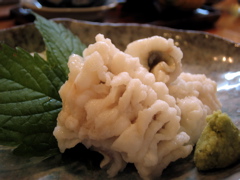 b0046210_16131844.jpg
