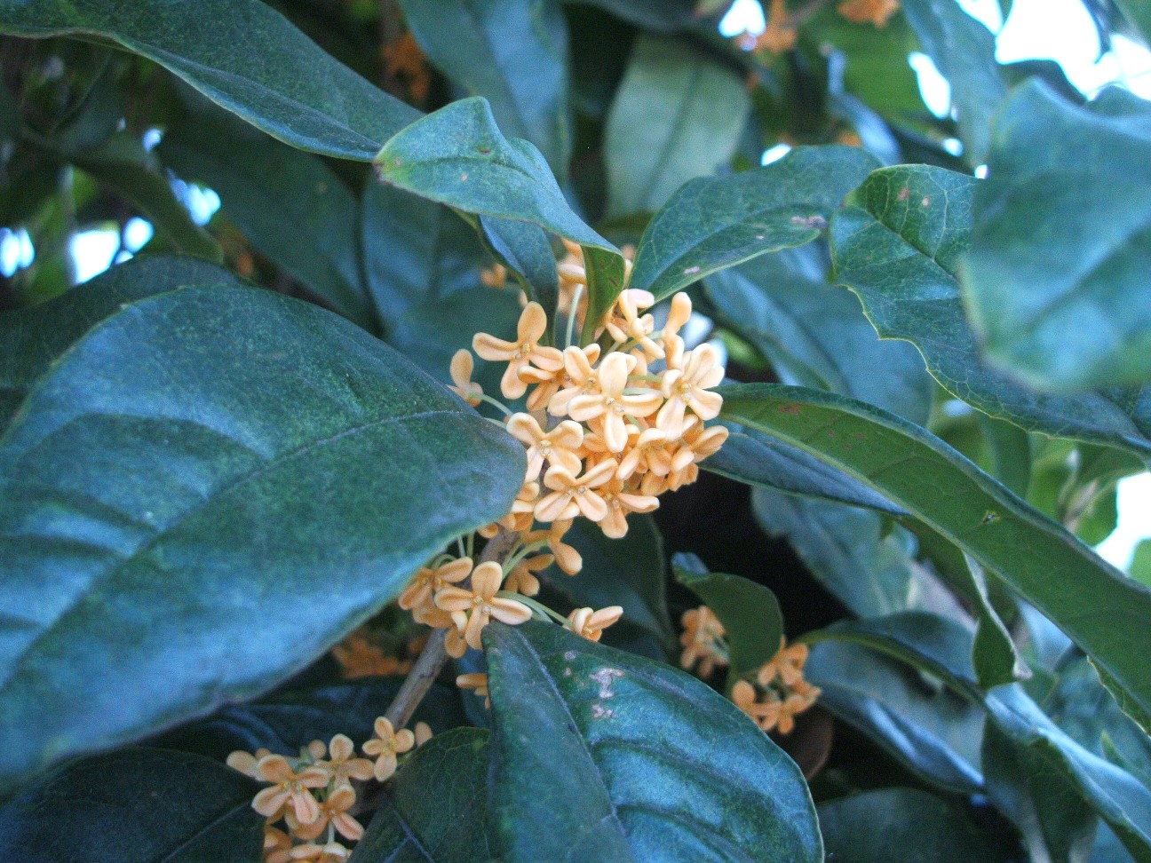 b0061010_2311388.jpg