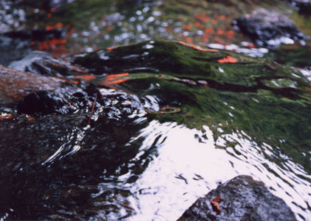 e0062413_22544192.jpg