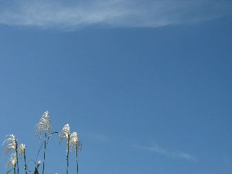 b0053414_22192558.jpg
