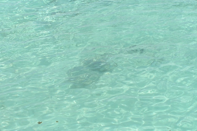 e0005714_0122816.jpg