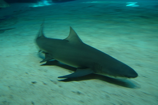 e0005714_0212123.jpg