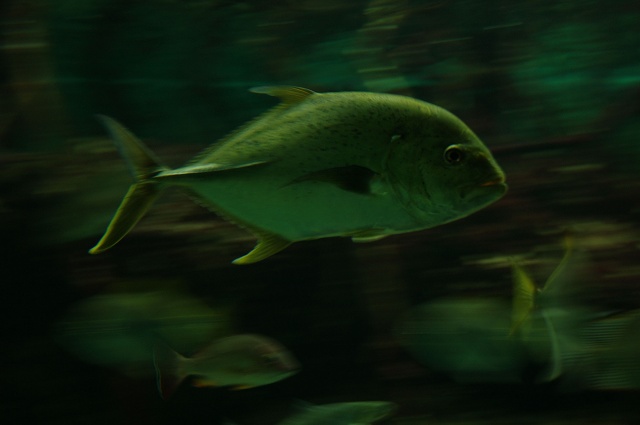e0005714_0233710.jpg