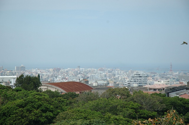 e0005714_0302596.jpg