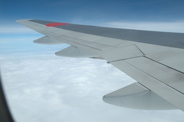 e0005714_05580.jpg