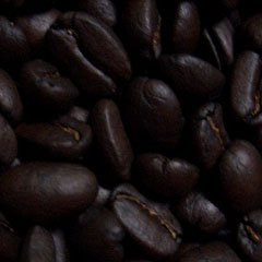 c0036617_185591.jpg