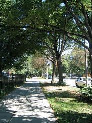 f0017719_2229050.jpg