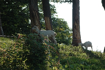 e0064128_23521728.jpg
