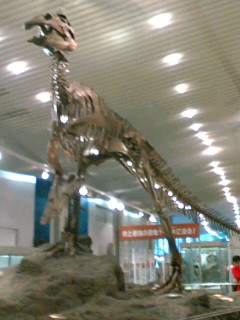 b0080033_0143422.jpg