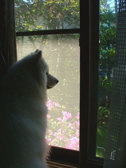 a0057237_1413457.jpg