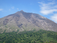 c0056237_221966.jpg