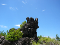 c0056237_25780.jpg