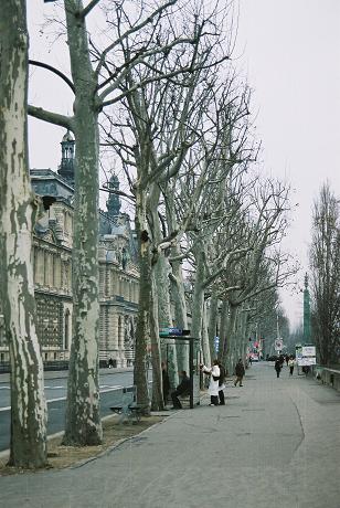 b0089338_0365787.jpg