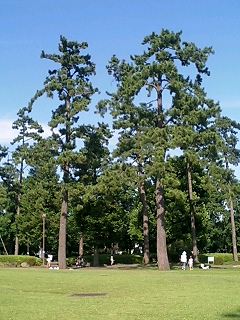 a0025141_14363358.jpg