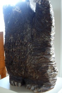 f0072241_9526100.jpg
