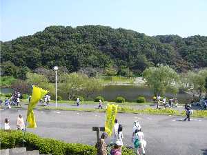 a0006144_1754820.jpg