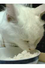 c0011446_21333077.gif