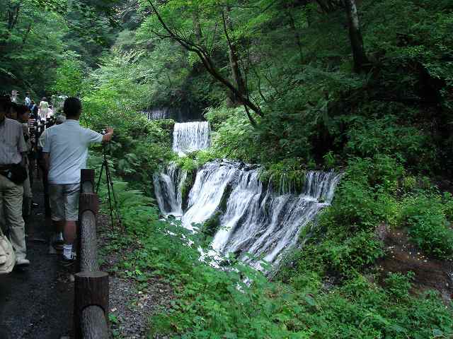 d0092347_1451070.jpg