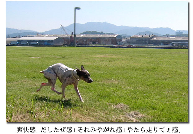 c0067449_1450325.jpg